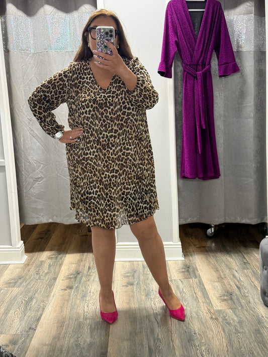 Leopard Print Dress