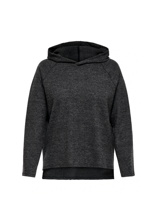 ONLY CARBIZZY Sweatshirt