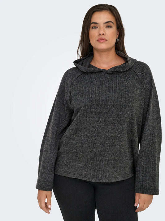 ONLY CARBIZZY Sweatshirt