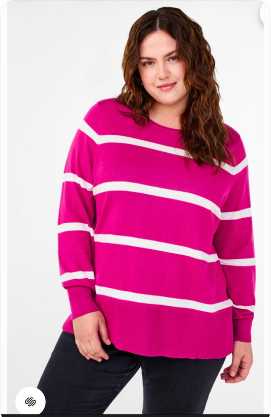 Ziziz Stripe Jumper size 14-16