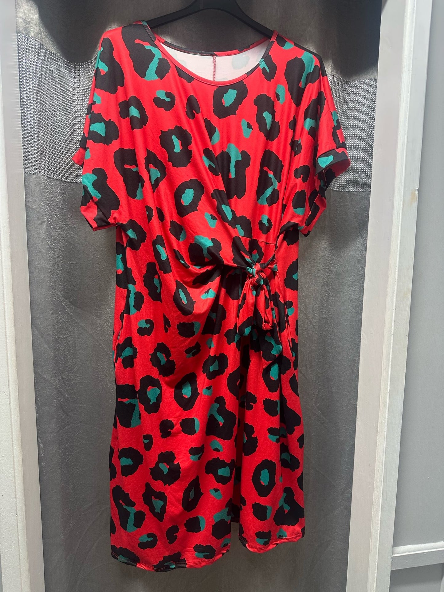 Animal Print Dress