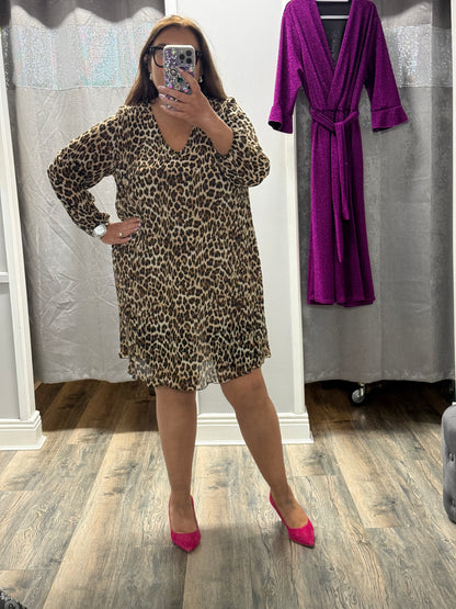 Leopard Print Dress