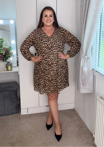 Leopard Print Dress