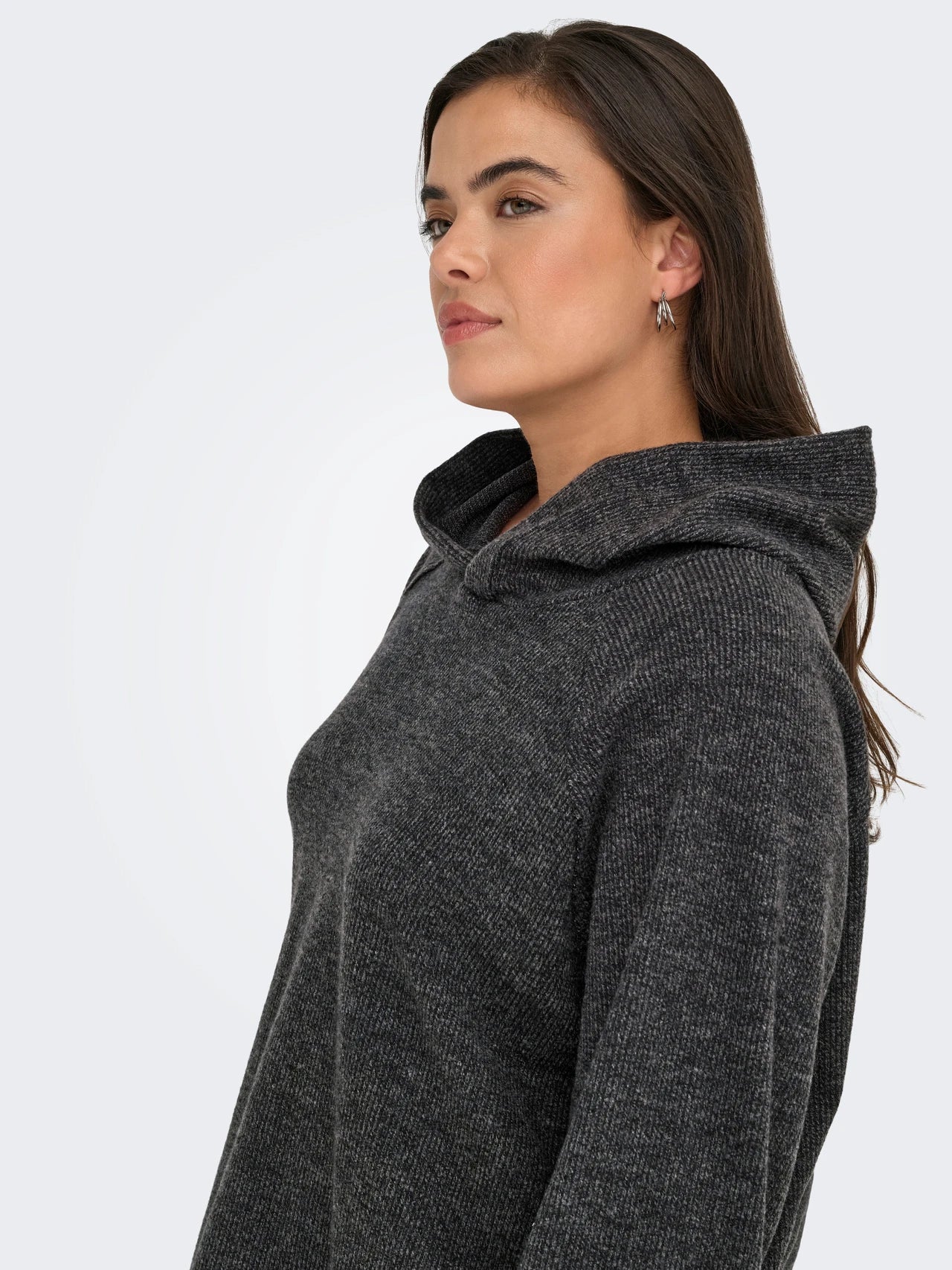 ONLY CARBIZZY Sweatshirt